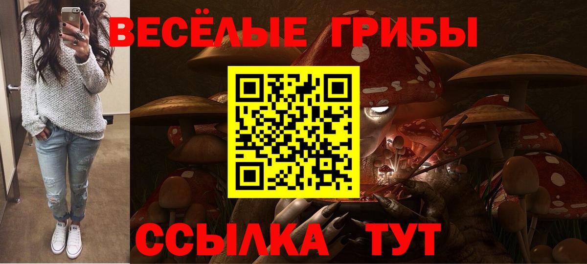 Псилоцибиновые грибы MAGIC MUSHROOMS Сертолово